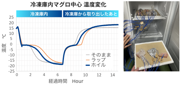 冷凍庫内マグロ中心温度変化