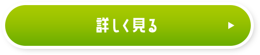 詳しく見る