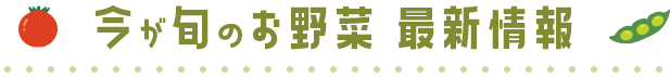 今が旬のお野菜 最新情報