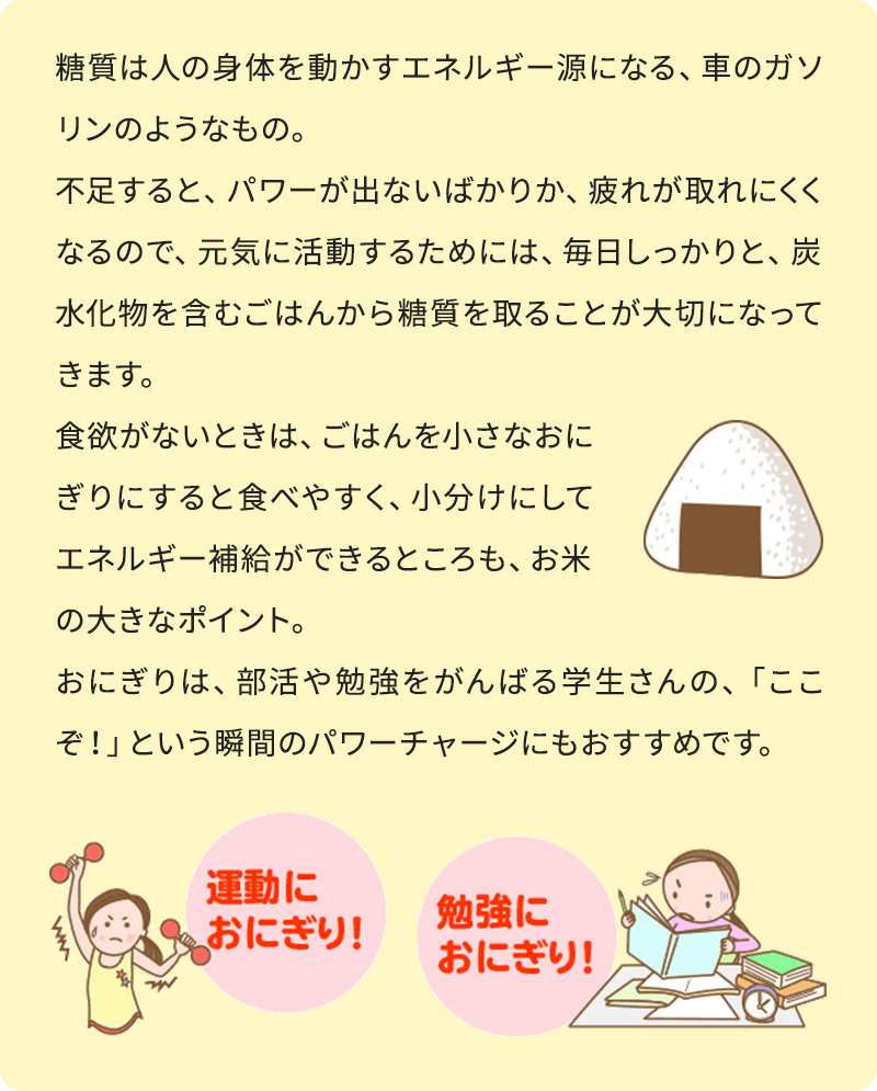 糖質は人の身体を動かすエネルギー源になる、車のガソリンのようなもの。 不足すると、パワーが出ないばかりか、疲れが取れにくくなるので、元気に活動するためには、毎日しっかりと、炭水化物を含むごはんから糖質を取ることが大切になってきます。 食欲がないときは、ごはんを小さなおにぎりにすると食べやすく、小分けにしてエネルギー補給ができるところも、お米の大きなポイント。 おにぎりは、部活や勉強をがんばる学生さんの、「ここぞ！」という瞬間のパワーチャージにもおすすめです。