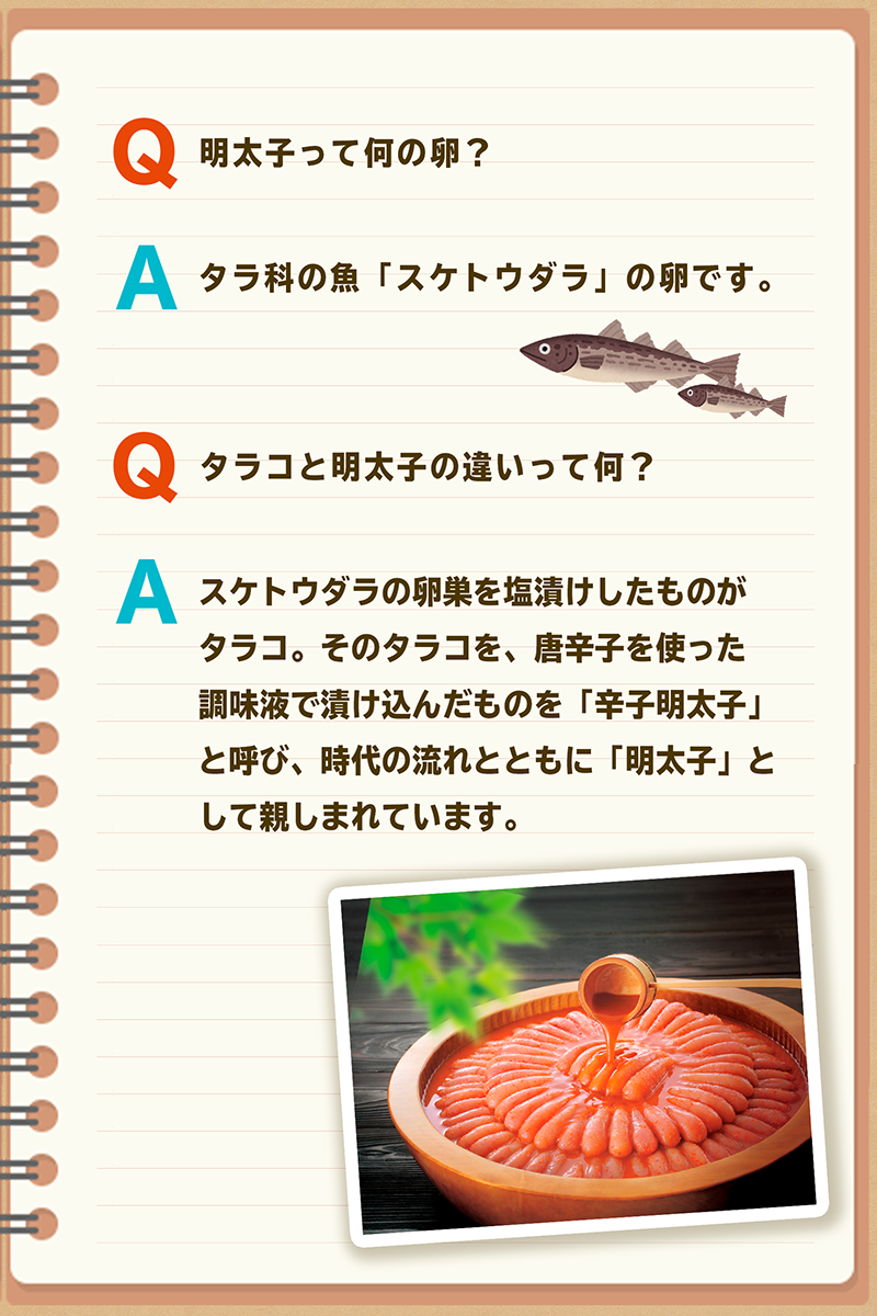 Q.明太子って何の卵？
A.タラ科の魚「スケトウダラ」の卵です。
Q.タラコと明太子の違いって何？
A.スケトウダラの卵巣を塩漬けしたものがタラコ。
そのタラコを、唐辛子を使った調味液で漬け込んだものを「辛子明太子」と呼び、
時代の流れとともに「明太子」と親しまれています。