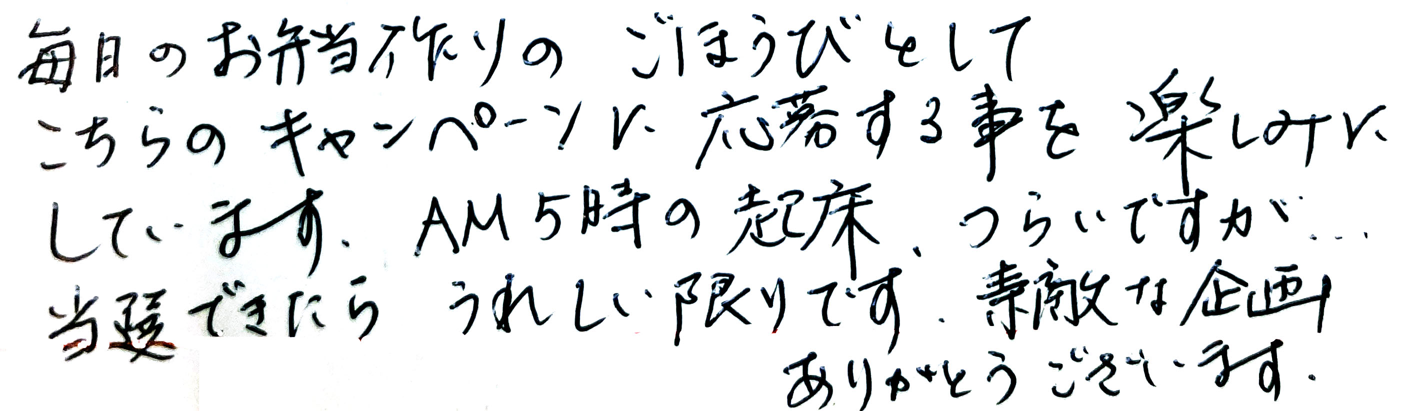 毎日のお弁当作りのごほうびとして