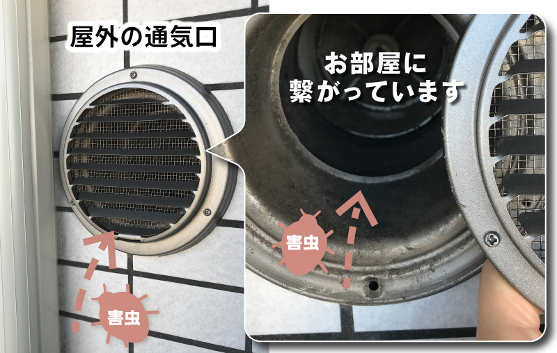 屋外の通気口　虫の侵入　掃除できない